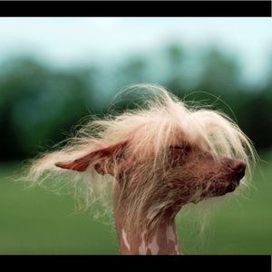 Meet your Posher, Anuj